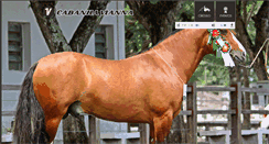 Desktop Screenshot of cabanhavianna.com.br